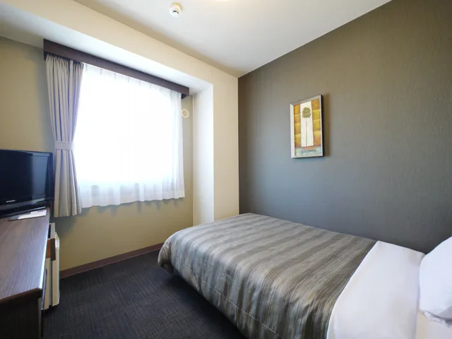 غرفة اقتصادية بسرير فردي، Hotel Route-Inn Kakamigahara 2/3