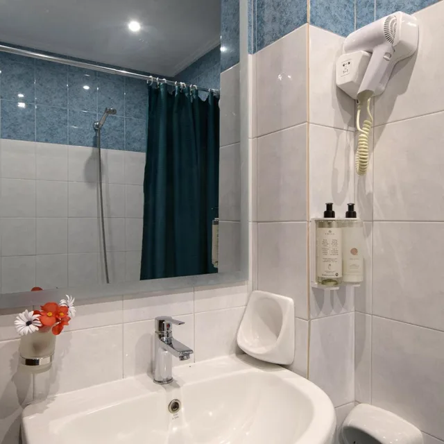 Superior, Double or Twin Bed, Terrace, Hotel Kaiser Bridge 6/7