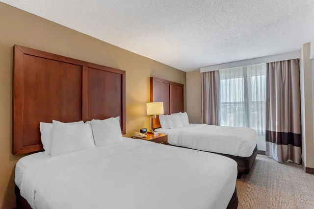 جناح بسريرين كوين لذوي الإعاقة، Comfort Inn & Suites Dover near Speedway 1/3