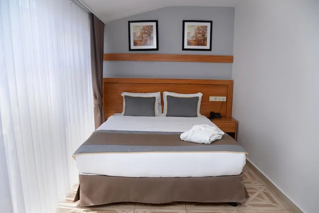 غرفة سوبيريور بسرير مزدوج أو سريرين منفصلين بإطلالة على المدينة، EDIBE SULTAN HOTEL 3/10