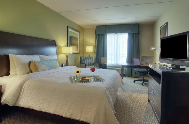 Evolution, King Bed، Hilton Garden Inn Houston/Pearland 1/6