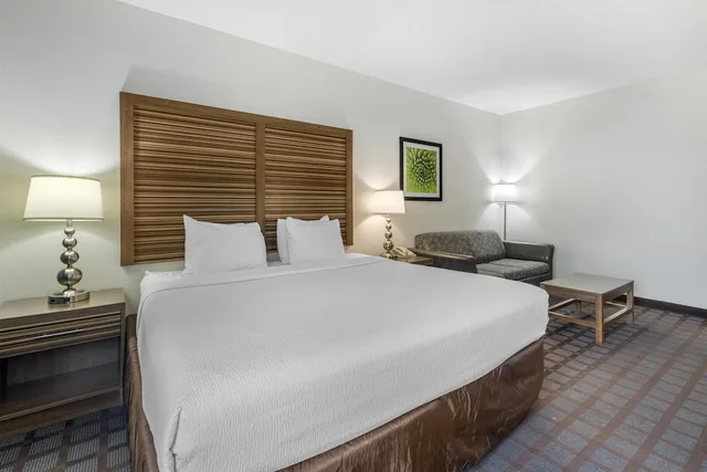 غرفة قياسية بسرير كينج مع أريكة، Best Western Fishers Indianapolis Area 4/6