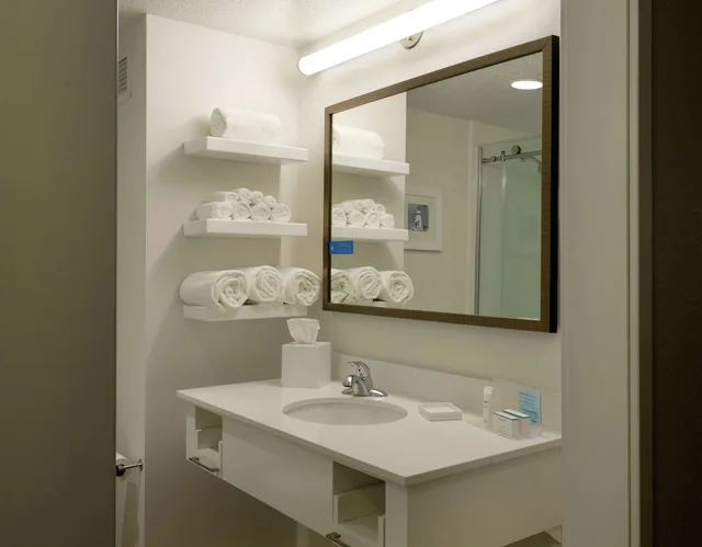 استوديو بسرير كينج مع أريكة لذوي الإعاقة، Hampton Inn Green Bay Downtown 4/5