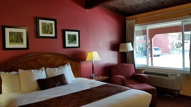 غرفة قياسية بسرير كينج، Forks Motel 2/6