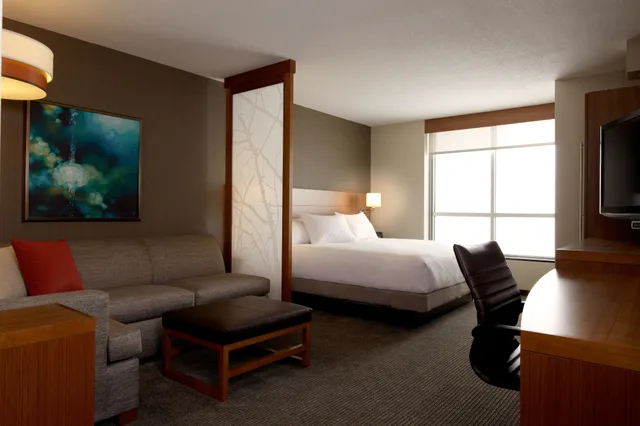 Specialty, King Bed, Sofa، Hyatt Place Houston-Northwest / Cy-Fair 1/2