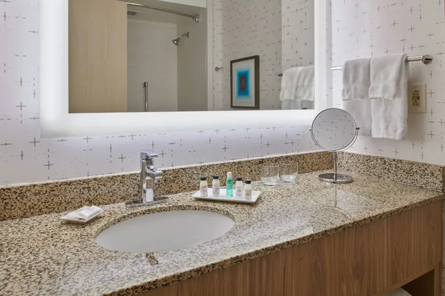 جناح بغرفة نوم واحدة، Delta Hotels by Marriott Detroit Novi 5/8
