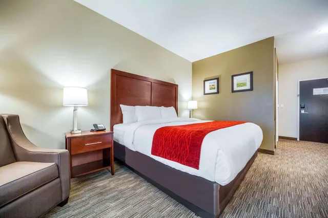 غرفة قياسية بسرير كينج، Comfort Inn and Suites North Platte I-80 1/9