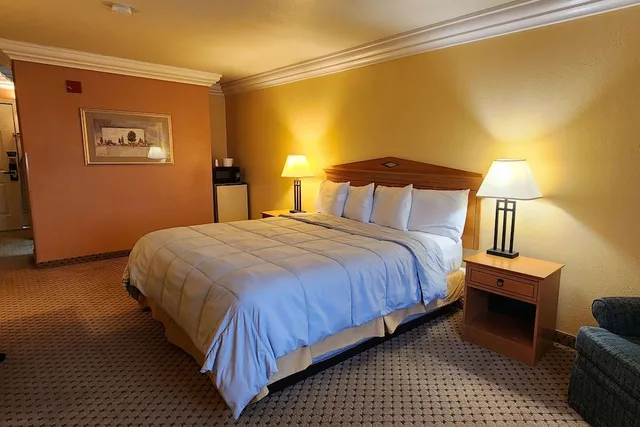 Room, Queen Bed, Super 8 by Wyndham Temple I-35 1/3