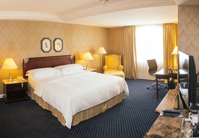 جناح تنفيذي بغرفة نوم واحدة، Hilton Princess Managua 6/10