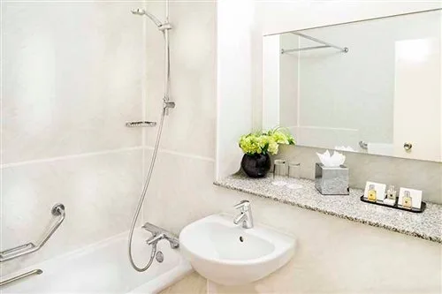 Classic, Single, Copthorne Tara Hotel London Kensington 1/1
