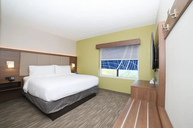 جناح بسرير كينج بغرفة نوم واحدة، Holiday Inn Express Naperville 2/4