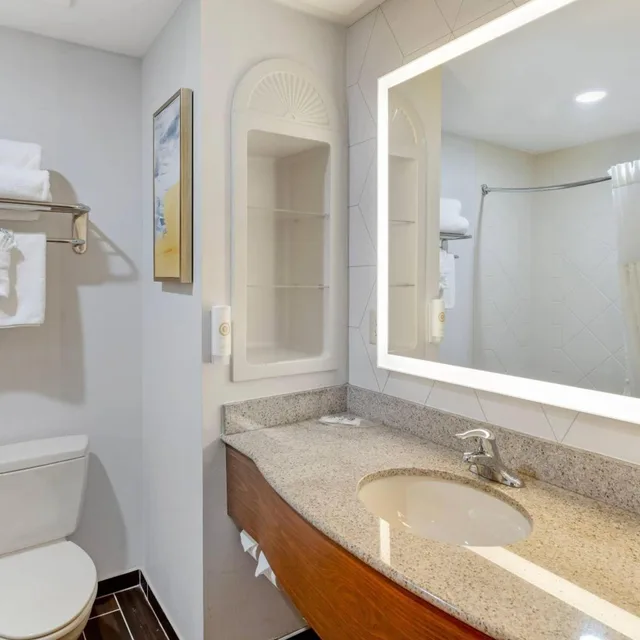 1 Bedroom, Efficiency, Suite, Sofa، Comfort Suites East Brunswick - South River 5/7