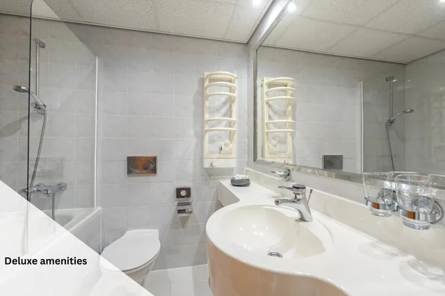 غرفة تنفيذية تنفيذية بسرير مزدوج مع دخول الصالة، Cosmopolitan Bobycentrum - Czech Leading Hotels 4/6