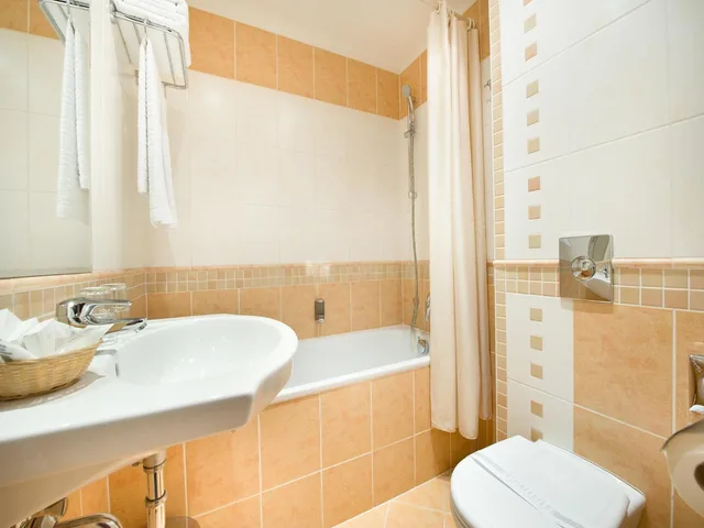 غرفة مفردة، Ea Hotel Rokoko 5/8