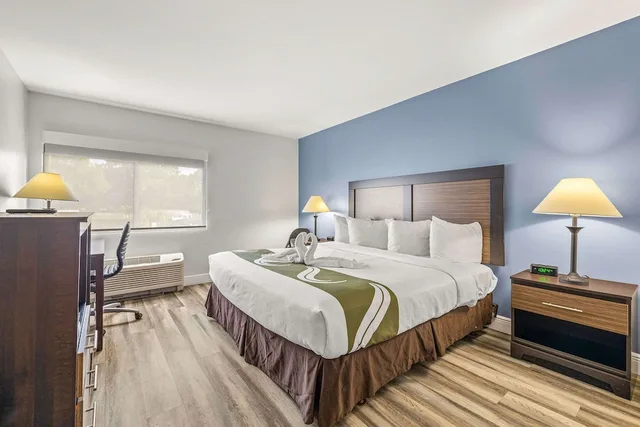 غرفة قياسية بسرير كينج، Quality Inn & Suites Tampa near Fairgrounds and Casino 1/10
