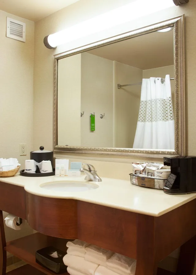 استوديو لذوي الإعاقة، Hampton Inn And Suites Brownsville 3/3