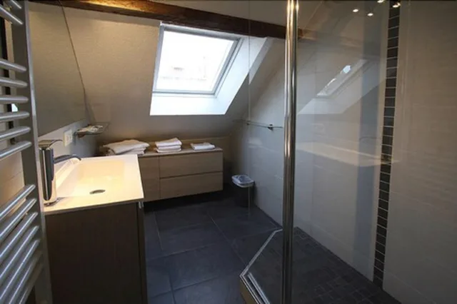 Comfort, Studio, Suite, 2 King Beds, Single Bed, Hotel Roses Ex Hotel Aux Trois Roses 5/5