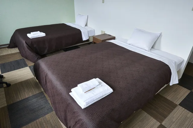 غرفة قياسية بسريرين منفصلين لغير المدخنين، Hotel Select Inn Saitama Moroyama 2/3