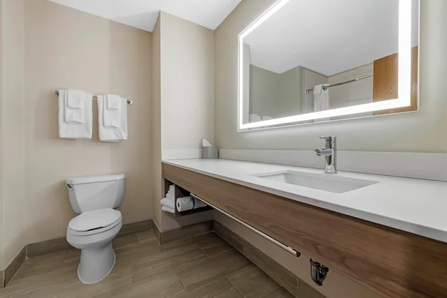 Standard, King Bed, Extra Floor Space، Holiday Inn Express St. Croix Valley 2/2