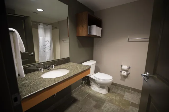 جناح عائلي بسريرين كوين مع أريكة، Great Wolf Lodge Bloomington 2/2