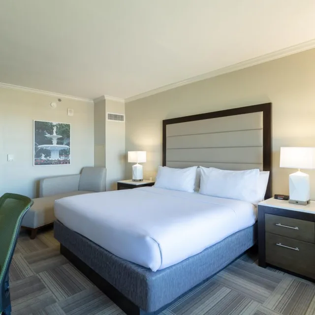 Superior, King Bed, Holiday Inn Express Savannah Historic District 5/10