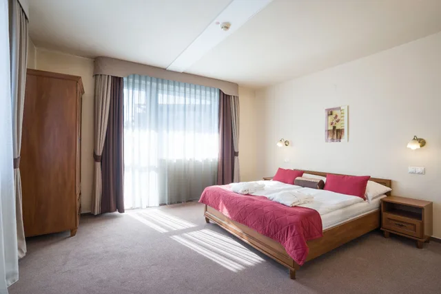 جناح بسرير مزدوج وسرير فردي بشرفة، Dixon Congress Hotel 1/3