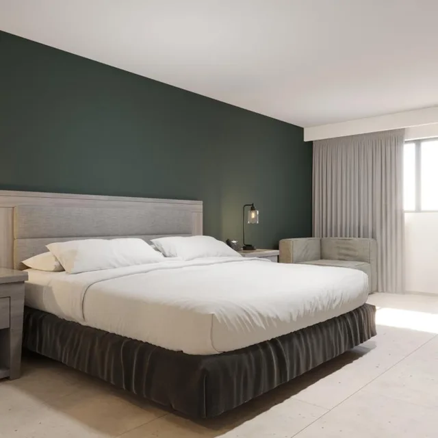 Standard, King Bed, City View, Real Inn Mexicali By Camino Real 1/4