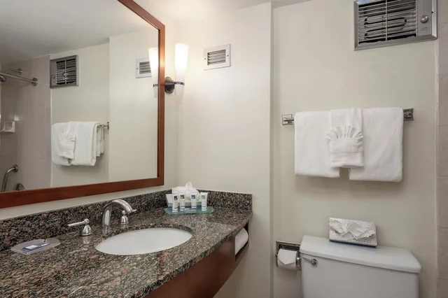 Standard, King Bed, Mountain View, Sofa, Evergreen Lodge 4/6