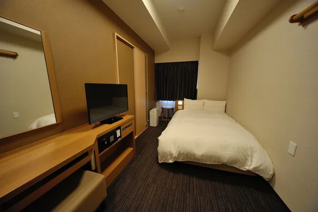 Economy, Single, Dormy Inn Akihabara 3/8
