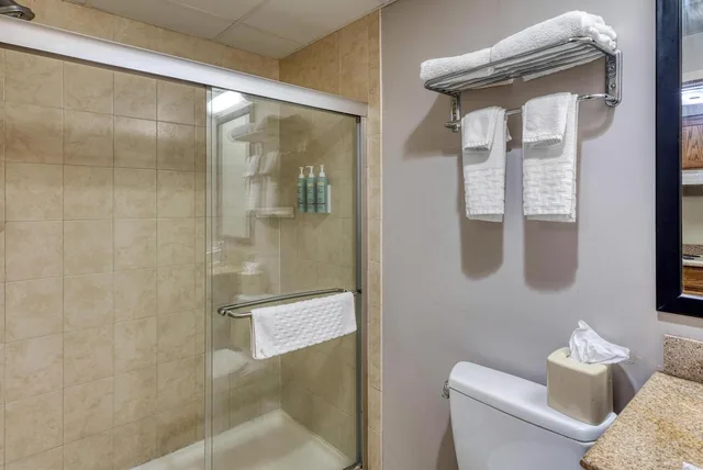 غرفة قياسية بسرير كينج، Best Western Owego Inn 5/5