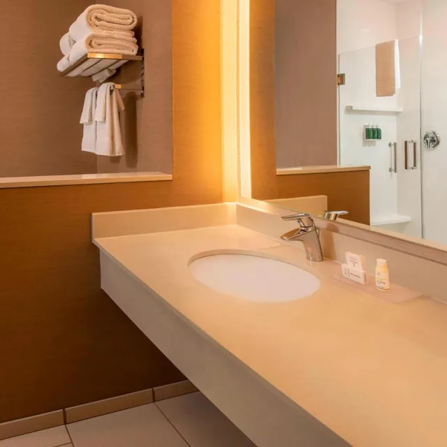 جناح تنفيذي بسرير كينج مع أريكة، Fairfield Inn & Suites By Marriott Harrisburg International Airport 6/6