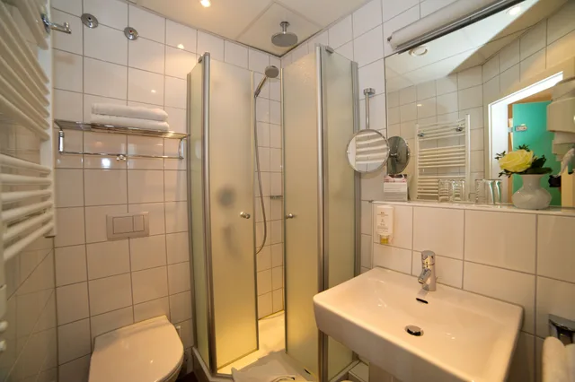 غرفة اقتصادية بسرير مزدوج، Stadthotel Freiburg 4/4