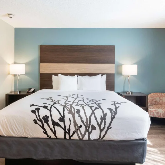 جناح بسرير كينج بغرفة نوم واحدة، Sleep Inn & Suites Columbus near Fort Benning 2/3