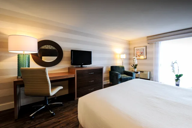 Standard, Holiday Inn by the Falls 1/1