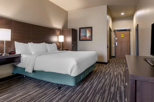غرفة تنفيذية بسرير كينج مع أريكة، Best Western Plus Dartmouth Hotel Suites 1/3