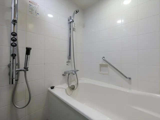 Deluxe, Double Bed, North Wing, JR KYUSHU HOTEL KAGOSHIMA 10/10