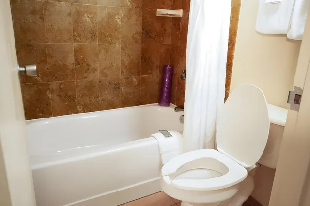 غرفة قياسية، Rosen Inn Closest to Universal 1/1