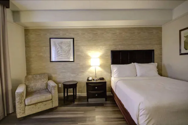 Standard, Queen Bed, Accessible, Holiday Inn Suites Windsor Ambassador Bridge 2/6