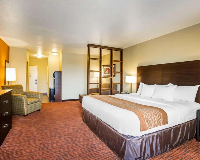 غرفة قياسية بسرير كينج لذوي الإعاقة، Comfort Suites Clovis - Fresno 4/8