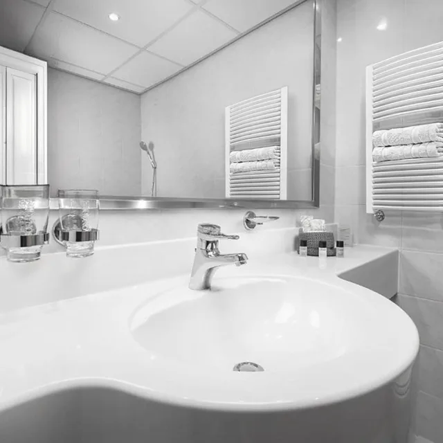 غرفة تنفيذية تنفيذية بسرير مزدوج مع دخول الصالة، Cosmopolitan Bobycentrum - Czech Leading Hotels 6/6