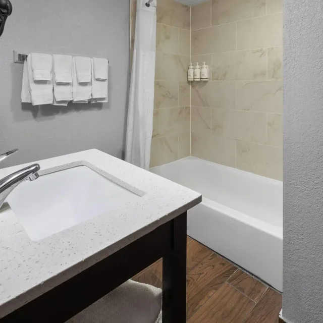 Deluxe, King Bed, Baymont By Wyndham Downtown Detroit 5/5