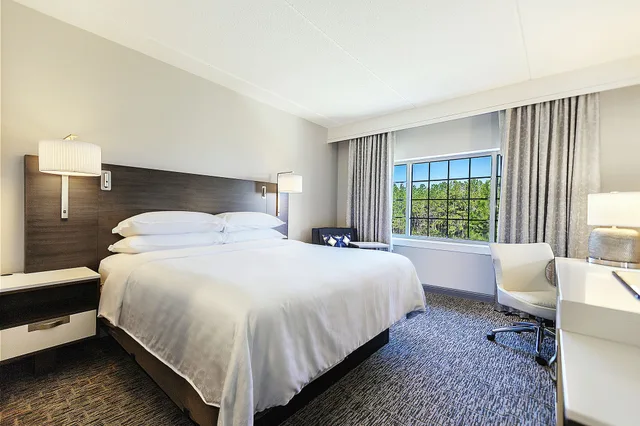 جناح تنفيذي بسرير كينج بإطلالة على المدينة مع أريكة، Sheraton Jacksonville Hotel 1/4