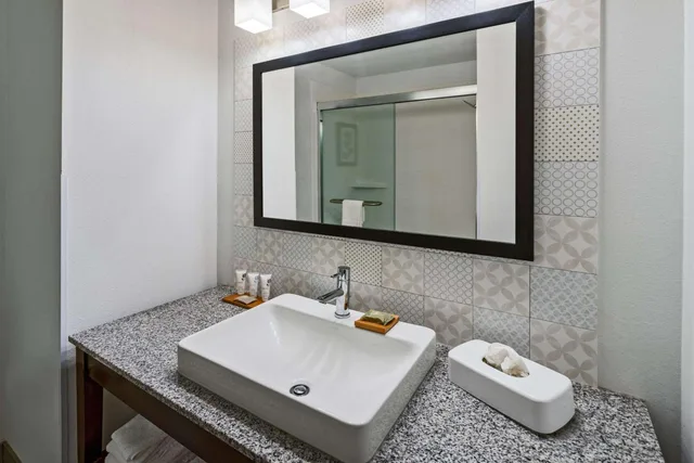 جناح داخلي بسرير كينج مع أريكة لذوي الإعاقة، Country Inn Suites By Radisson Salisbury Md 1/1
