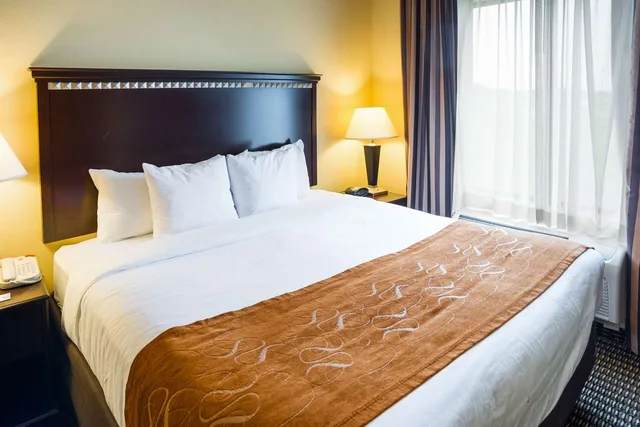 جناح بسرير كينج، Holiday Inn Express Rochester South Mayo Area 1/2