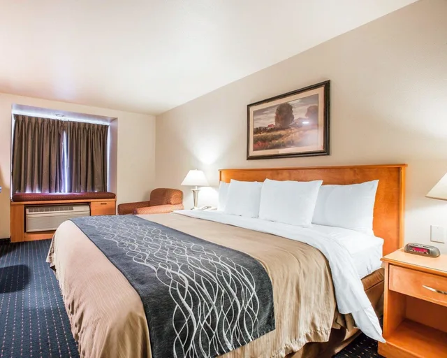 Standard, King Bed, Comfort Inn & Suites Salinas City Center Area 3/10