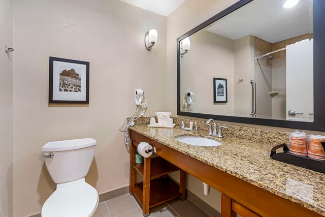 جناح بسرير كينج، Comfort Suites East 2/2