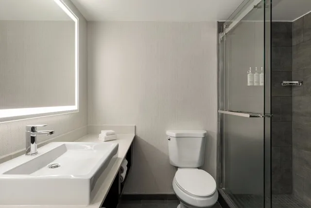 غرفة قياسية بسرير كينج مع أريكة، Holiday Inn Virginia Beach - Norfolk 5/6