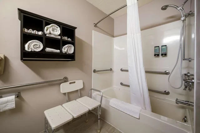 غرفة بسرير كينج بحوض استحمام لذوي الإعاقة، Best Western Park Oasis Inn 3/3