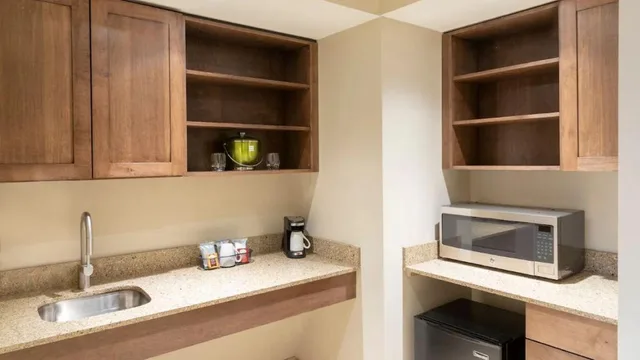 جناح بسرير كينج بغرفة نوم واحدة مع أريكة، Hyatt Place Detroit/Royal Oak 1/1