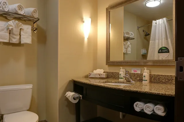 جناح بسرير كينج بجاكوزي، Greentree Inn Suites Florence 2/4